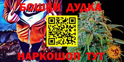 spice Можга