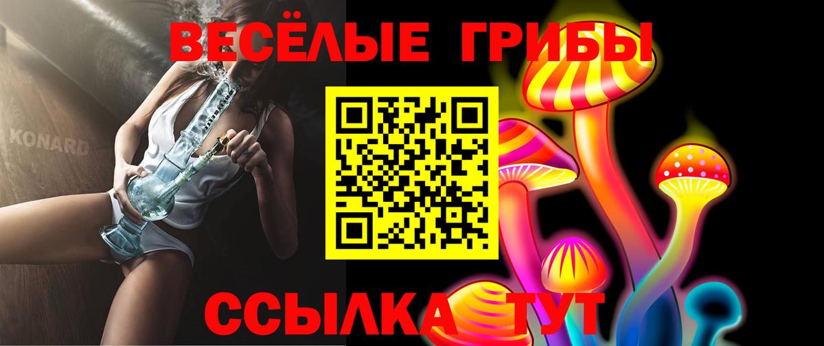 Галлюциногенные грибы GOLDEN TEACHER Всеволожск